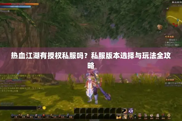 热血江湖有授权私服吗？私服版本选择与玩法全攻略