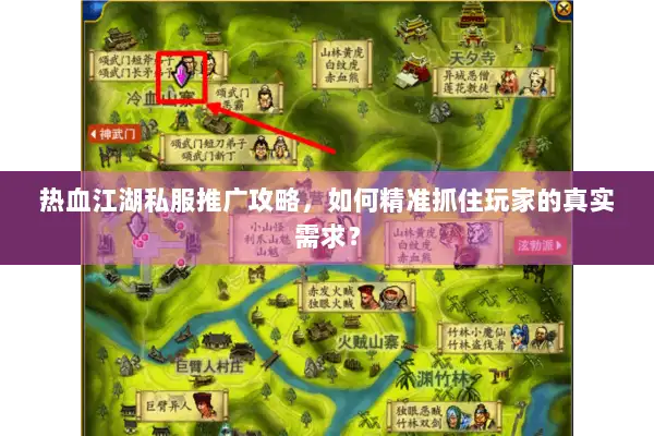 热血江湖私服推广攻略，如何精准抓住玩家的真实需求？