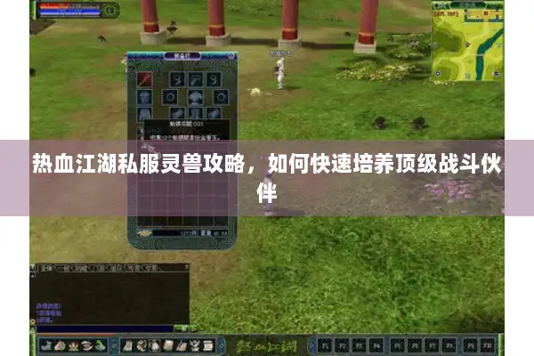 热血江湖私服灵兽攻略，如何快速培养顶级战斗伙伴