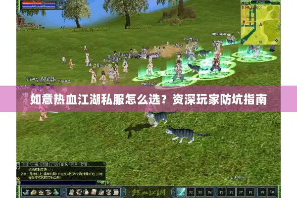 如意热血江湖私服怎么选？资深玩家防坑指南