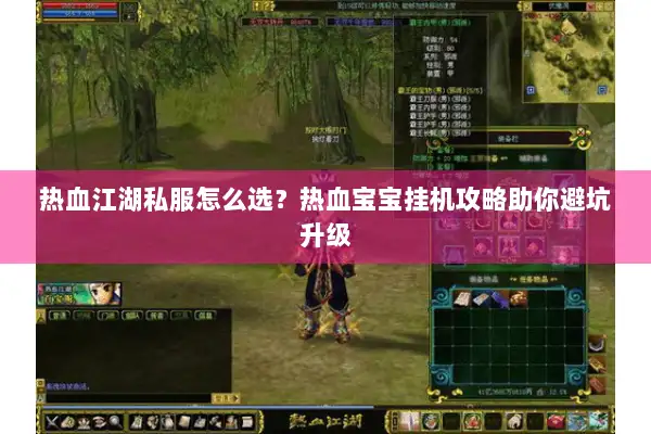 热血江湖私服怎么选？热血宝宝挂机攻略助你避坑升级