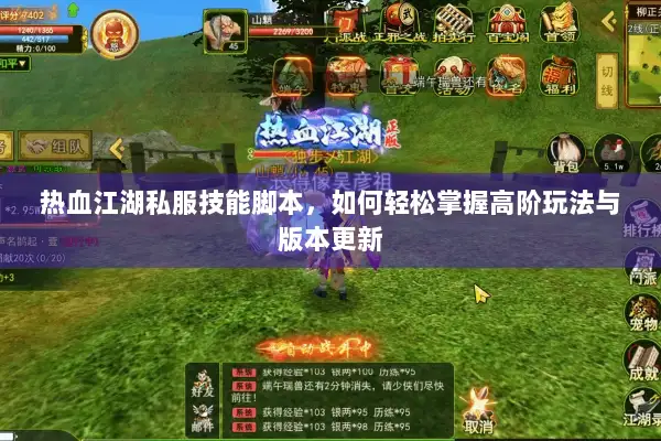 热血江湖私服技能脚本，如何轻松掌握高阶玩法与版本更新