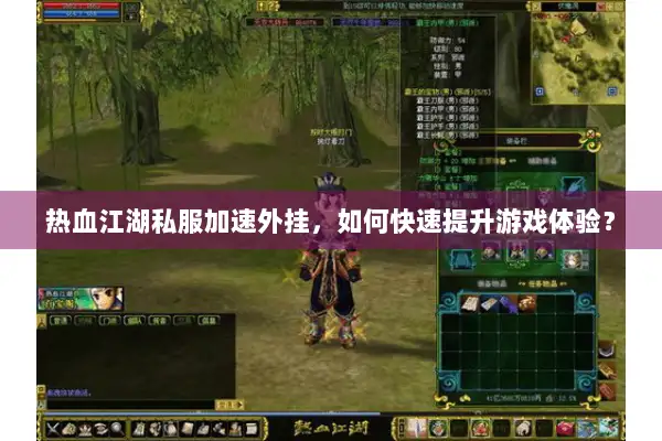 热血江湖私服加速外挂，如何快速提升游戏体验？