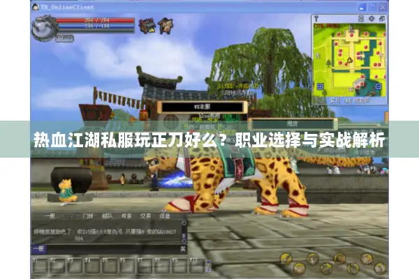 热血江湖私服玩正刀好么？职业选择与实战解析