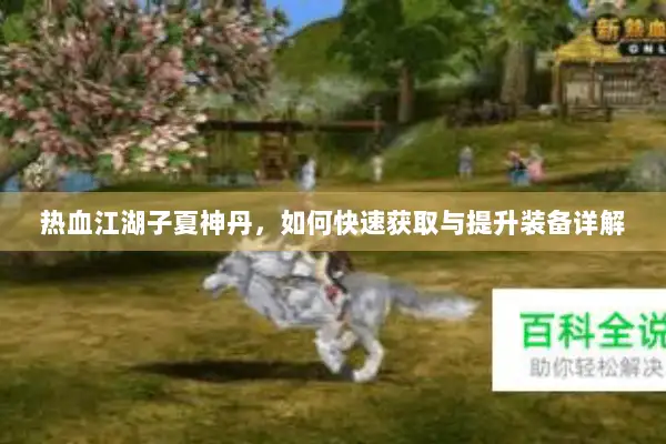 热血江湖子夏神丹，如何快速获取与提升装备详解