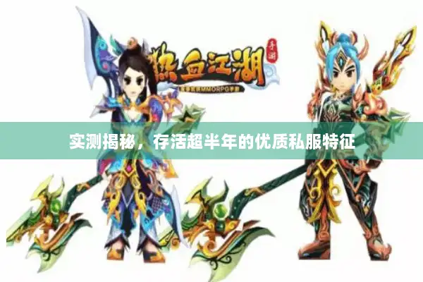 实测揭秘,存活超半年的优质私服特征 实测揭秘,存活超半年的优质私服特征